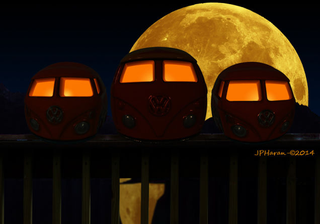 Illustration for article titled The October Photography Contest voting poll!! Vote now!!